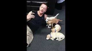 Rockdog Imagine Dragons "Natural" Bible Study