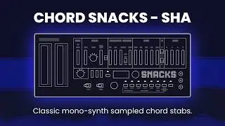 Chord Snacks SHA sample pack - 222 x synth chords & stabs