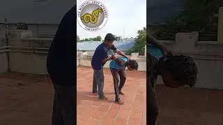 Self Defence Techniques Shorts