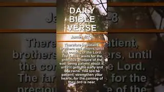 James 5:7-8 | Daily Bible Verse | #shorts