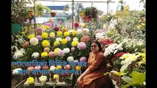 শোভনিকা দিদির স্বপ্নের ছাদ বাগান পরিদর্শন/@Banchharamerbagan