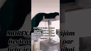 Nāc jau tagad pakaļ sava mīluļa sapņu mājai vai pasūti internetveikalā ar piegādi!