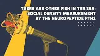 There Are Other Fish in the Sea: Social Density Measurement by the Neuropeptide Pth2