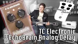 TC Electronic Echobrain Analog Delay Pedal Review Demo from GuitCon 2017 (Stompbox Saturday Ep.103)