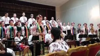 Українська народна пісня "Як би я мала крила орлині "