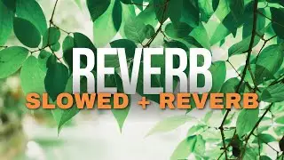 Soothing Nasheed Slowed + Reverb | Ahmad Al Muqit