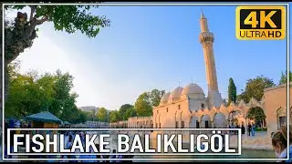 Balıklıgöl Fishlake 4K Walking Tour Şanlıurfa/Turkey