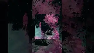 Dreamscape 🌌 #blackgaze #postrock #atmosphericblackmetal