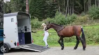 Cheval Libertè Multimax hestehenger for 2 hester med ekstra god plass og Pullman 2 personbilfjæring