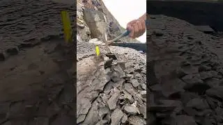 We Extracted A PERFECT Cephalopod Fossil! 🤯