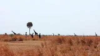 Chada Camp | Tanzania | Expert Africa