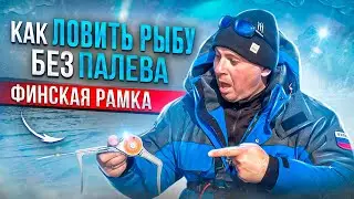 КАК ЛОВИТЬ МНОГО РЫБЫ НЕ ПРИВЛЕКАЯ ВНИМАНИЕ ТОЛПЫ? Зимняя рыбалка на ФИНСКУЮ РАМКУ.