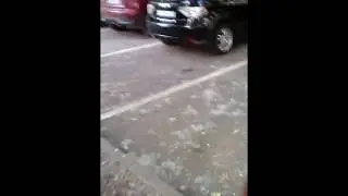 Битвазябликов.