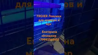 Скоро мухами буду кормить перепелов🤣🤣🤣