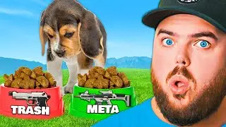 Mein HUND Findet GEHEIME Rebirth Island Meta Loadouts