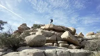 Joshua Tree National Park