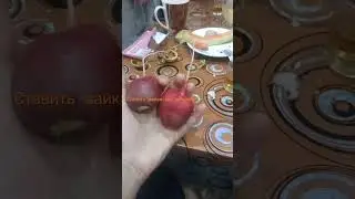 Редиска переросток