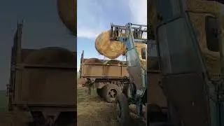 13 октября 2024 г.