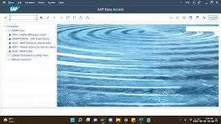 SAP GUI Settings | Real Time Training (Hindi)