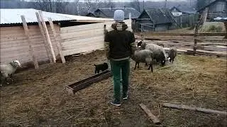 ОХРАНА В ХОЗЯЙСТВЕ