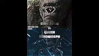 King Kong vs Queen Xenomorph 