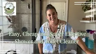 Shower and toilet cleaner. Effective, cheap and easy to make.