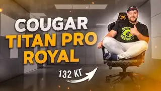 Cougar Throne Royal | Обзор