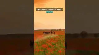 #жылкы #asmr #equestrian #horse #2024 #viral #лошади #shorts
