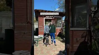 Не забудь посмотреть остальные части у нас на канале 😉  скоро выложим длинное видео📸