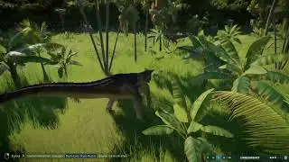 Dinos 1