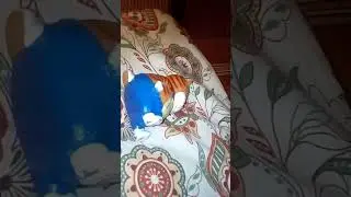 30 декабря 2018 г.