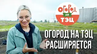 Огород на ТЭЦ расширяется