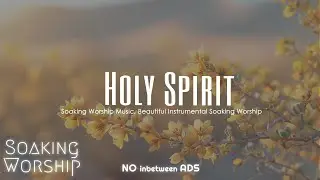 Heavenly Soaking Worship Music for Prayer and Meditation - Get Soaked
