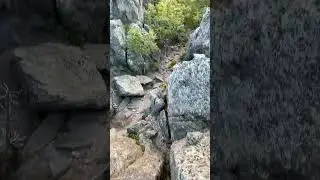 Рассвет на перьях