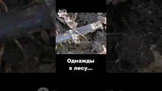 ЖИТЬ БУДЕТ. Парадник. Вермахт.