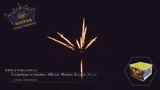 Фейерверк 100-зар. Феникс Калибр 30 мм Арт.номер СУ30-100/5 (1/1)