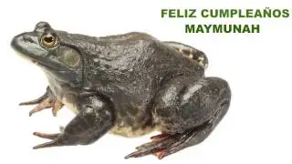 Maymunah   Animals & Animales - Happy Birthday