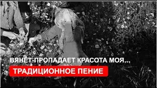 Протяжная песня «Вянет пропадает красота моя…»