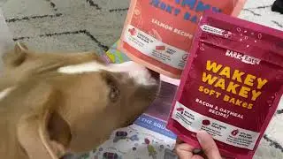 Barkbox July 2022 Opening | Pool Party Animals