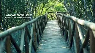 TEASER - DOC - Parque Natural Municipal RESTINGA DO GUARAÚ