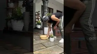 എന്റെ ceramic pot | part 2 #gardening #jishnuuthaman #garden