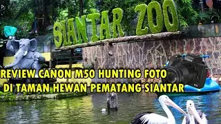 Review Canon M50 Hunting Foto di Taman Hewan Pematangsiantar