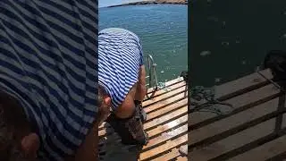 🫠 попробовали устрицы... продолжение во 2 части🫣🤷‍♂️ 