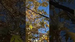 Каждое утро у тебя есть два варианта.