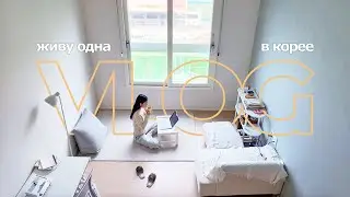 Slow everyday life at home in Korea 🏠, library, walks in the park