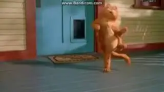 Не женюсь,я не женюсь!