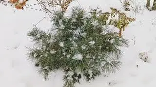 #поэзиядлядуши 