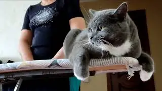 Эх, дороги!