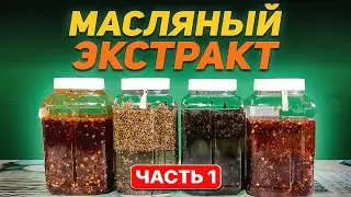МАСЛЯНЫЙ ЭКСТРАКТ для РЫБАЛКИ. ВЫПУСК №1