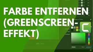 Camtasia: So entfernt man den Hintergrund (Greenscreen-Effekt)